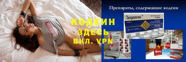 прущие грибы Абинск