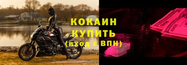 прущие грибы Абинск