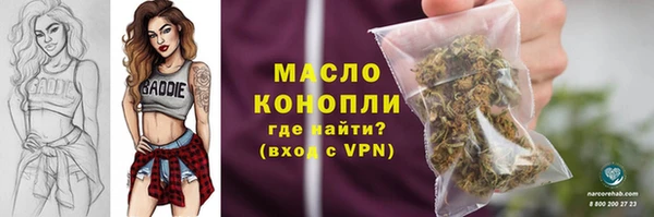 прущие грибы Абинск