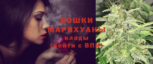 прущие грибы Абинск